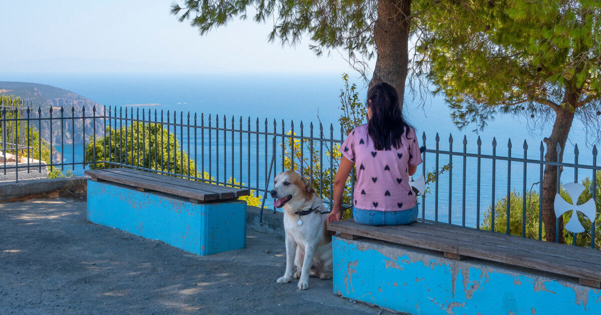 Οι Έλληνες Και Τα Κατοικίδιά Τους